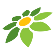 LINK JAYAJP